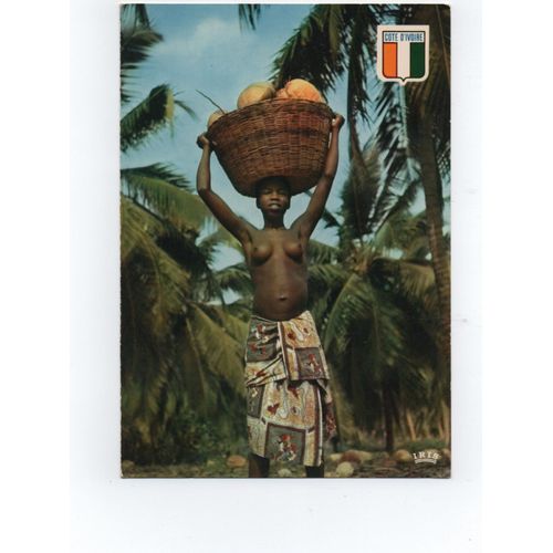 Récolte De Noix De Coco - Carte Années 70 Agence Ivoirienne Hachette Abidjan.