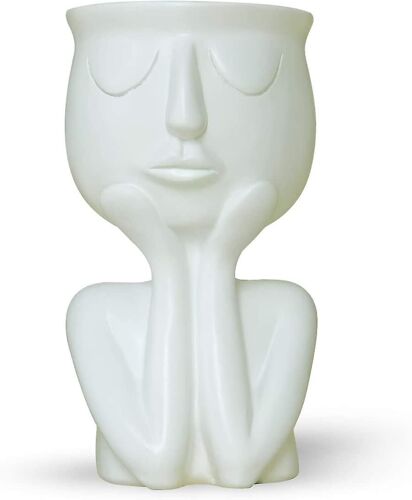 Portrait de personnage Pot de fleur Résine Succulentes Pot de fleur Jardinière Résine Succulentes