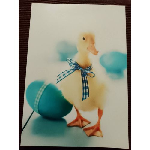 Carte Postale Colorée "Expressions From Hallmark"Années 2000.