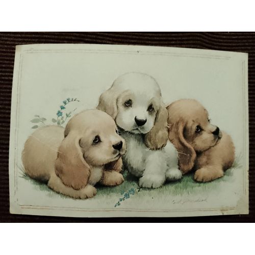 Carte Postale Colorée "Dessin De Chiots"Vintage Années 80.