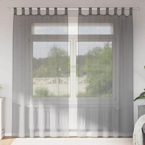 Vidaxl Rideaux En Voile Avec Boucles 2 Pcs Gris Foncé 140x245 Cm