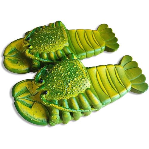 Maas-Sandales Bout Ouvert Femme Drôle Animal Chaussures De Plage Piscine Maison Mules Homme 36-44