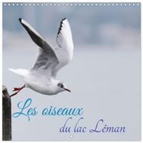 Les Oiseaux Du Lac Léman (Calendrier Mural Carré 2026 30x30 Cm) Calendrier Double Avec Une Page Pour Vos Prises De Notes