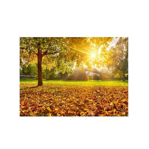 Tapisserie Forestière,Rayons De Soleil À Travers Les Arbres,Paysage De Campagne,Tenture Murale Pour Chambre À Coucher,Salon,Dortoir