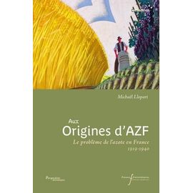 Aux Origines D'azf - Le Problème De L'azote En France (1919-1940)