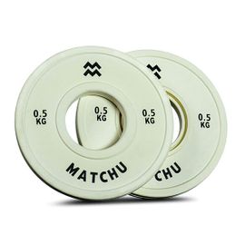 Fractional Weight Plate 0,5 Kg