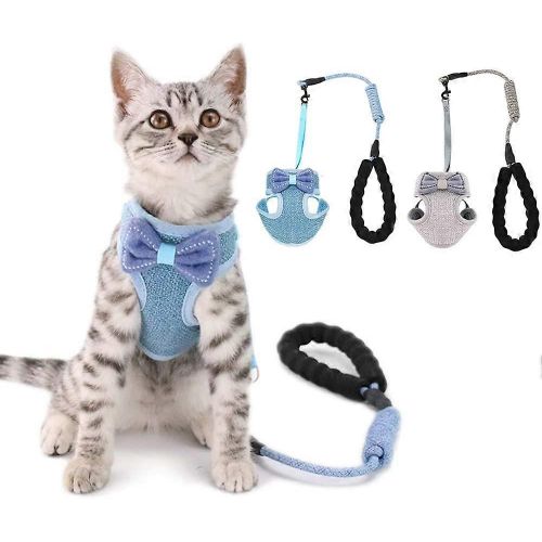 Lot De 2 Harnais Pour Chat Avec Laisse Anti-Fuite, Veste De Promenade Réglable Pour Chaton, Gilet Doux Et Respirant Pour Animaux De Compagnie