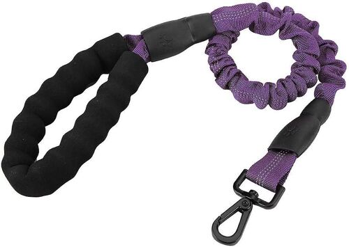 Laisse Pour Chien, Laisse De Jogging Pour Chien, Laisse D'entraînement Élastique Pour Chien, Laisse Solide Pour Chien Avec Harnais Rembourré Confortable