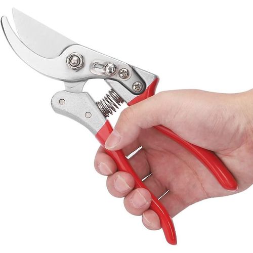 Sécateur à main, sécateur de jardin, outil d'élagage