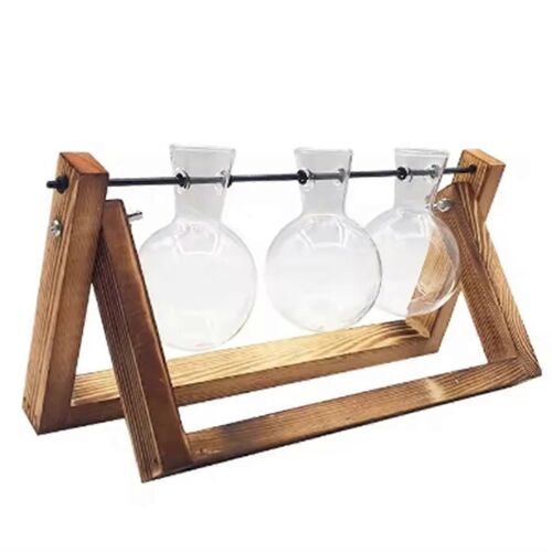 Cadre en bois Ensemble de vases de table Terrarium Présentoirs B