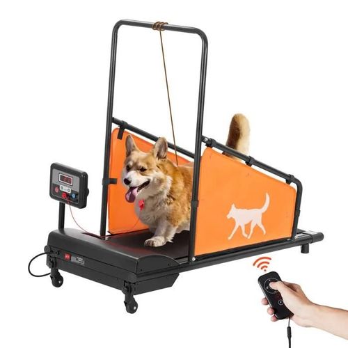 Tapis Roulant Pour Chiens De Taille Moyenne-Duoku-Capacité De 90 Kg-Machine De Course Électrique Pour Chien Avec 3 Rampes