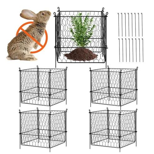 Lot De 4 Cages Grillagées Pour Plantes-Duoku-34 X 34 Cm-Clôtures Extérieures Pour Plantes Pour Fleurs