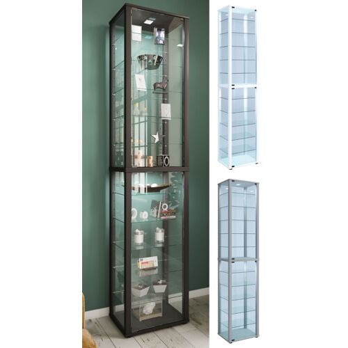 VCM Bois verre vitrine de collection vitrine de verre vitrine de stand vitrine Kavisa XXL Bois verre vitrine de collection vitrine de verre vitrine de stand vitrine Kavisa XXL