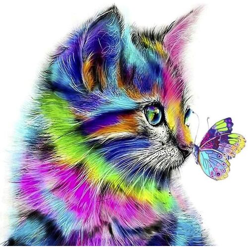 Peinture À L'huile À Faire Soi-Même, Peinture Par Numéros, Peinture Sur Toile À Faire Soi-Même, Peinture À L'huile Acrylique Pour Adultes Et Enfants, Loisirs Créatifs Pour La Décoration Murale De La Maison, Chat Coloré 