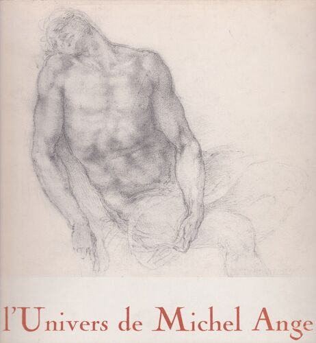L'univers De Michel Ange
