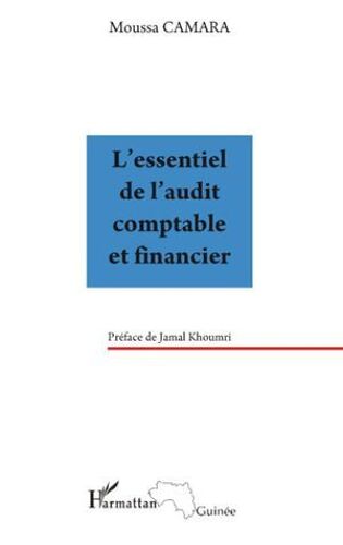 L'essentiel De L'audit Comptable Et Financier
