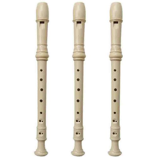 Flûte À Bec Soprano Dhs 8 Trous Instruments De Musique Pour Enfants Débutants Tableau Des Doigtés Gratuit Nettoyage Sti