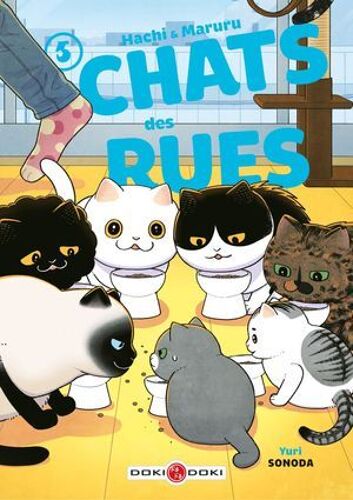 Hachi & Maruru - Chats Des Rues - Tome 5 - Chats Des Rues