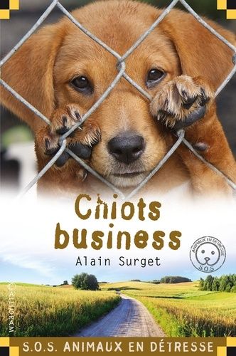 Chiots Business