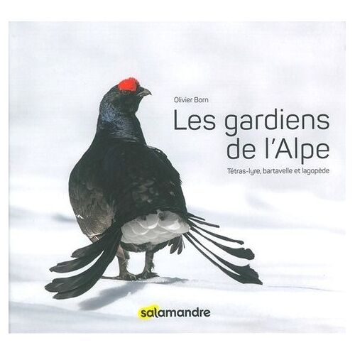 Les Gardiens De L'alpe - Tétras-Lyre, Bartavelle Et Lagopède