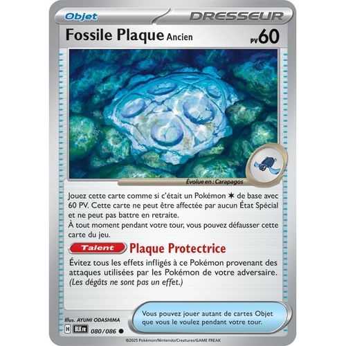 Fossile Plaque Ancien - 080/086 - Foudre Noire