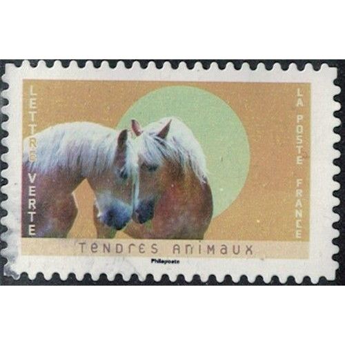 France 2023 Oblitéré Used Tendres Animaux Chevaux Haflinger Y&T Fr 2249 Su
