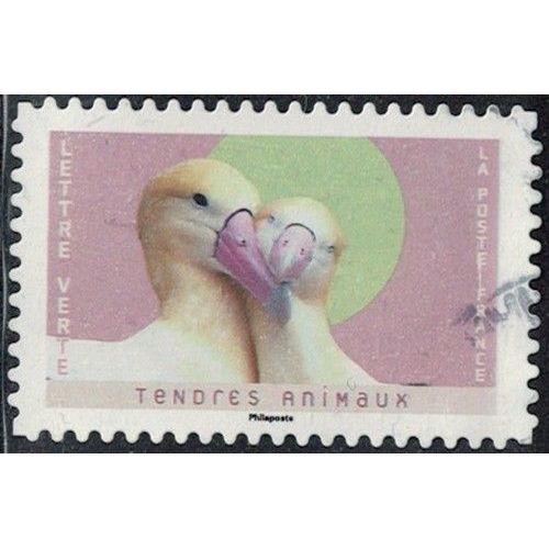 France 2023 Oblitéré Used Tendres Animaux Albatros À Queue Courte Y&T Fr 2247 Su