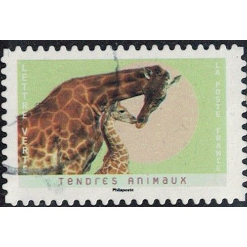 France 2023 Oblitéré Used Tendres Animaux Girafes Y&T Fr 2248 Su