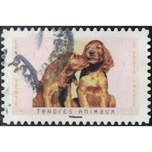 France 2023 Oblitéré Used Tendres Animaux Chiens Setter Irlandais Y&T Fr 2252 Su