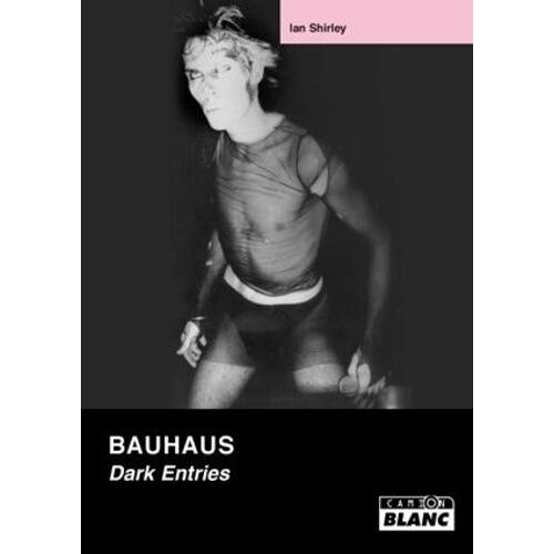 Bauhaus - Dark Entries