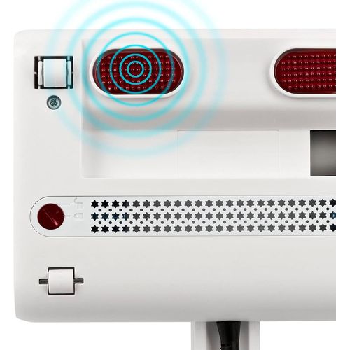 Ap21 Nettoyant Matelas & Tapisserie 300W 2 Filtres