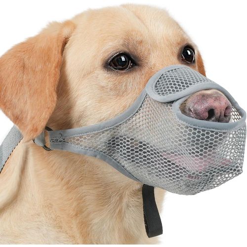 Pata-Muselière Chien Souple Réglable Nylon, Musoliaire Chien Anti-Morsure, Museliere Pour Chiens, Museliere Pour Chiens Petit, Museliere Chien Pour Les Chiens De Taille Grande, Moyenne (Gris-Xs)