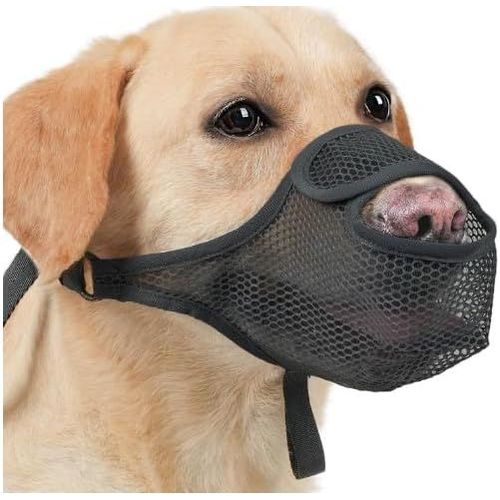 Pata-Muselière Chien Souple Réglable Nylon, Musoliaire Chien Anti-Morsure, Museliere Pour Chiens, Pour Les Chiens De Taille Grande, Moyenne (Noir-M)