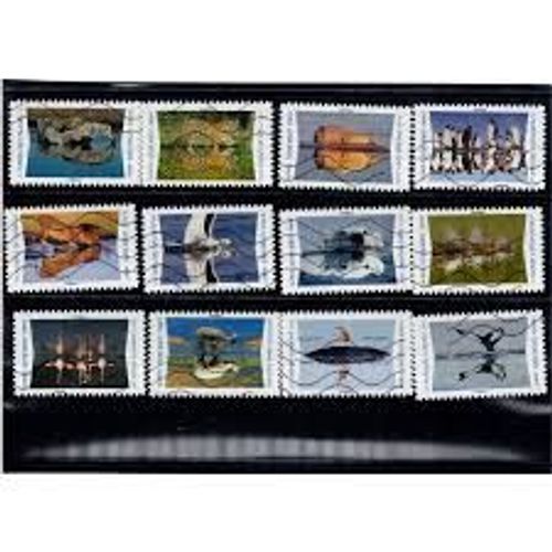 Animaux Du Monde : Animaux Sauvages Se Reflétant Dans L'Eau Série Complète Année 2020 Autoadhésifs N° 1815 1816 1817 1818 1819 1820 1821 1822 1823 1824 1825 1826 Yvert Et Tellier