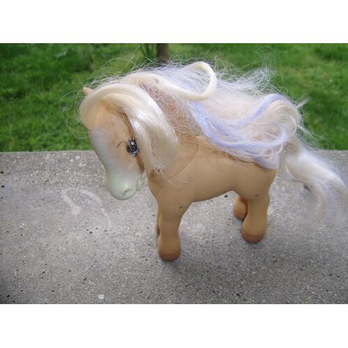 Poney