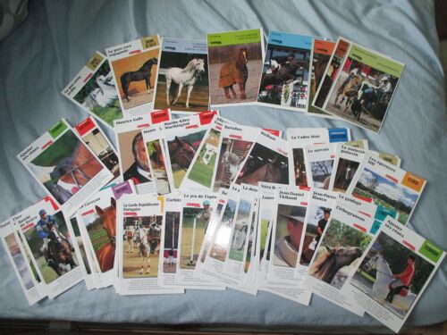 Lot De 107 Fiches Pratiques Sur Le Cheval