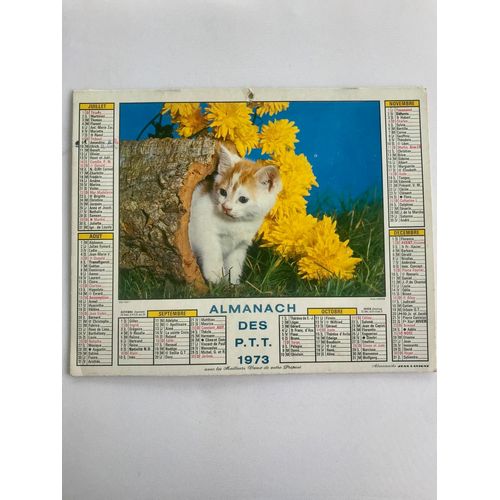 Calendrier Almanach Année 1973 Vintage Ptt Postes Naissance Mariage Rétro Chaton Chien Setter