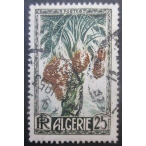 Algerie N°280 Oblitéré