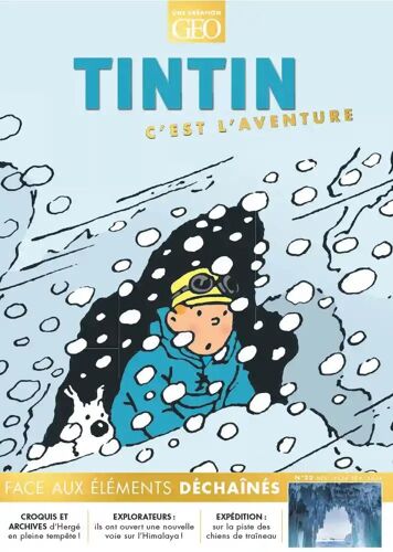 Tintin C'est L'aventure 22 - Face Aux Éléments