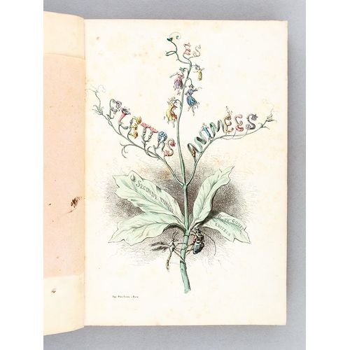 Les Fleurs Animées (2 Tomes - Complet)