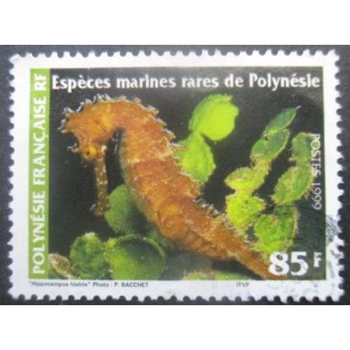 Polynesie Francaise N°581 Hippocampe Oblitéré