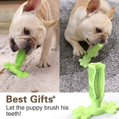 Brosse À Dents Pour Chien En Caoutchouc Naturel, Jouet À Mâcher Pour Le Nettoyage Des Dents, Les Soins Dentaires Et Le Dressage Des Chiots