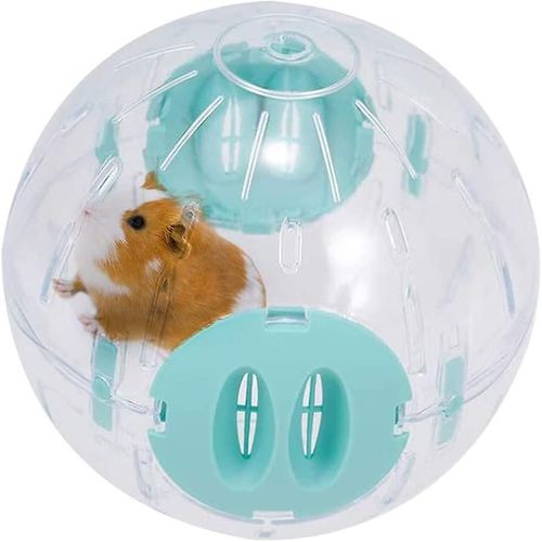 Balle Pour Hamster 16 Cm, Roue De Course Pour Hamster, Roue D'exercice En Plastique Pour Petits Animaux