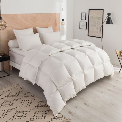 Dodo | Couette Thermoduv Chaude - 70% Duvet D'oie - 140 X 200 Cm