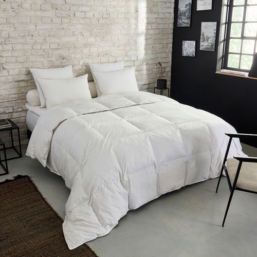 Dunlopillo | Couette Premium Naturelle Tempérée - 30% Duvet - 240 X 260 Cm