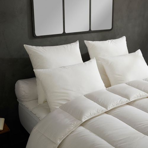 Dodo | Lot De 2 Oreillers Micro Douceur - Moelleux - 60 X 60 Cm
