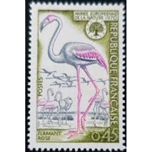 Année Européenne De La Nature : Flamant Rose Année 1970 N° 1634 Yvert Et Tellier Luxe