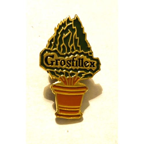 Pins Grosfillex Arbre Dans Pot De Fleur