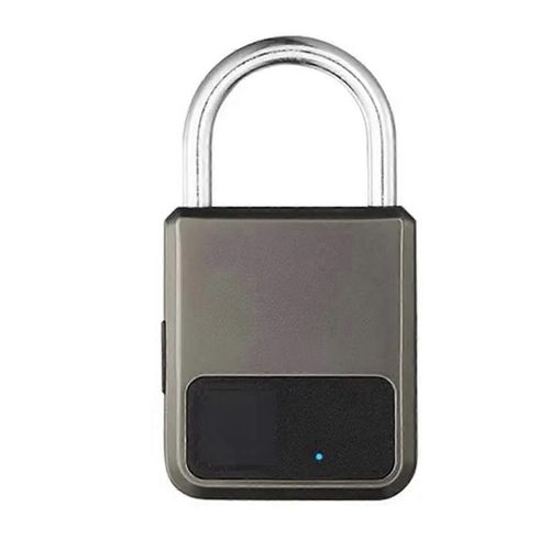 Cadenas intelligent portable à empreintes digitales Tuya avec clé USB en cas d'urgence (gris)