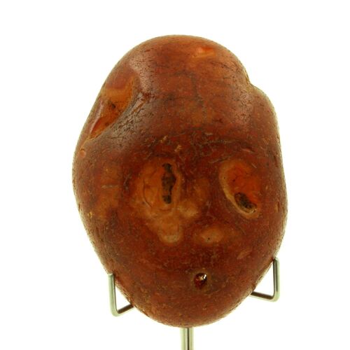 Cornaline. 726.50 Ct. Madagascar.